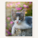 Search for cute fluffy notebooks Funny