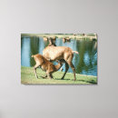 Search for red deer art Animal