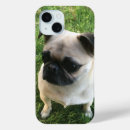 Search for pug puppy iphone cases Pugs