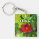 Search for red hibiscus key rings Hawaii