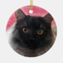 Search for x mas christmas tree decorations Cat