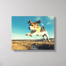 Search for yorkie canvas prints Nature