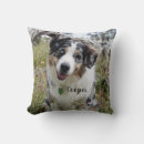 Search for australian shepherd cushions Animal