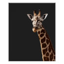 Search for giraffe posters Cute