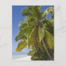 Search for cook island postcards Ie