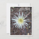 Search for flora note cards Flowers