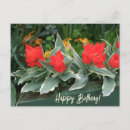 Search for wishes for mum birthday cards Love warm wishes