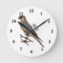 Search for kestrel art Falcon