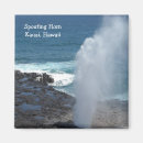 Search for hawaii magnets Waves