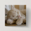 Search for sleeping badges Pets
