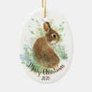 Search for plant christmas tree decorations Cute