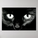Search for basted posters Cat