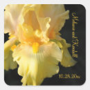 Search for iris picture stickers Floral