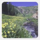 Search for alpine meadow stickers Landscape