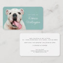 Search for dog walker business cards Small pets