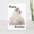 Search for white cat birthday cards Ragdoll