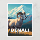 Search for dall Nature