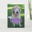Search for smells cards Cute