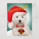 Search for westie christmas cards Terriers