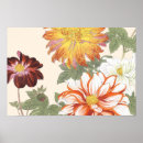Search for dahlia flower posters Chrysanthemum