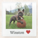 Search for dog lover coasters French bulldog