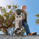 Search for barn skateboards Owl