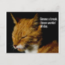 Search for grumpy horizontal postcards Animal