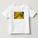 Search for frog toddler tshirts Washington