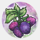 Search for raspberry stickers Watercolor