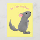 Search for chinchilla postcards Cute