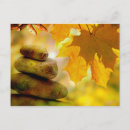 Search for maple leaves postcards Nature