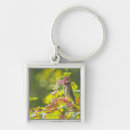 Search for cedar tree key rings Nature