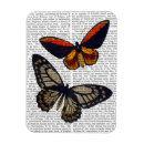 Search for butterfly magnets Flowers