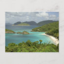 Search for st john virgin islands postcards Tropical
