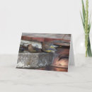 Search for cedar cards Nature