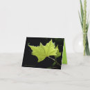 Search for maple leaves cards Branches