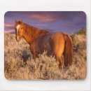 Search for alertness mouse mats Horizontal