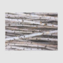 Search for birch tissue paper Trees