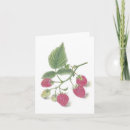 Search for raspberry cards Nature
