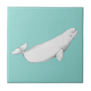Search for whale tiles Ocean