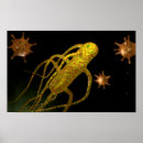 Search for biomedical posters Medicine
