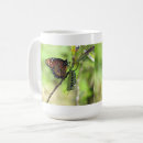 Search for caterpillar mugs Wildlife