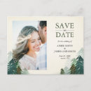 Search for pine tree save the dates Evergreen