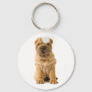 Search for shar pei key rings Puppies