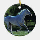 Search for equestrian christmas tree decorations Stallion