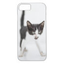 Search for little kitten iphone cases Baby animals