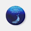Search for rays magnets Pacific ocean