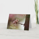 Search for think spring photography Flowers