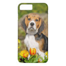 Search for beagle photo cases Cute