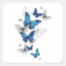 Search for butterflies fly stickers White
